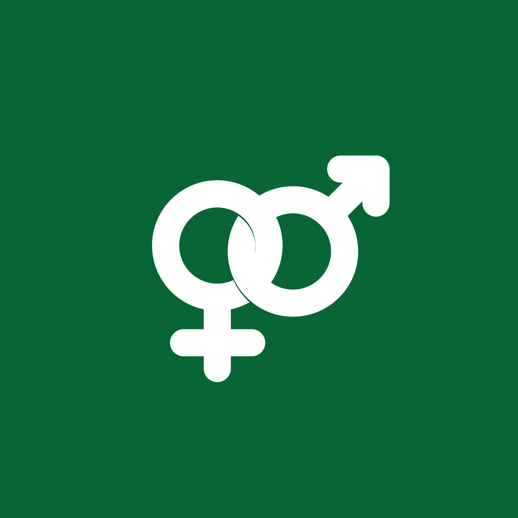 WORKSHOP IGUALDAD DE GÉNERO Y LA SALUD SEXUAL Y REPRODUCTIVA